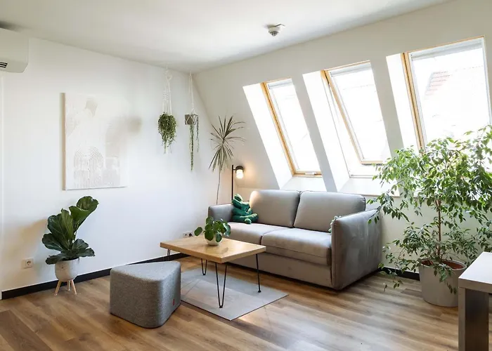 Urban Jungle 4*